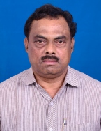Shri Nilkanth Halarnkar